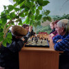 Первенство района по русским шашкам и шахматам